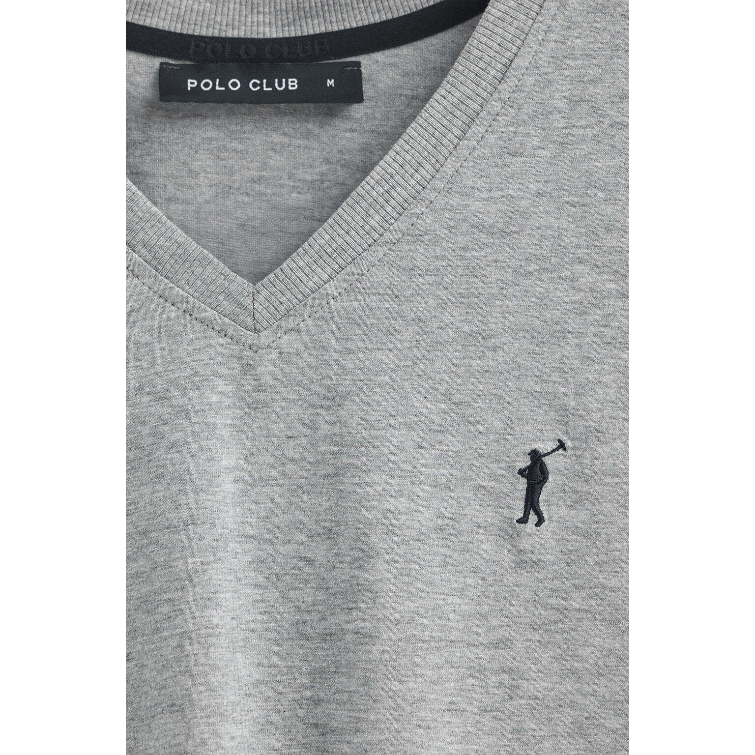 Camiseta gris vigoré con cuello pico y bordado Rigby Go