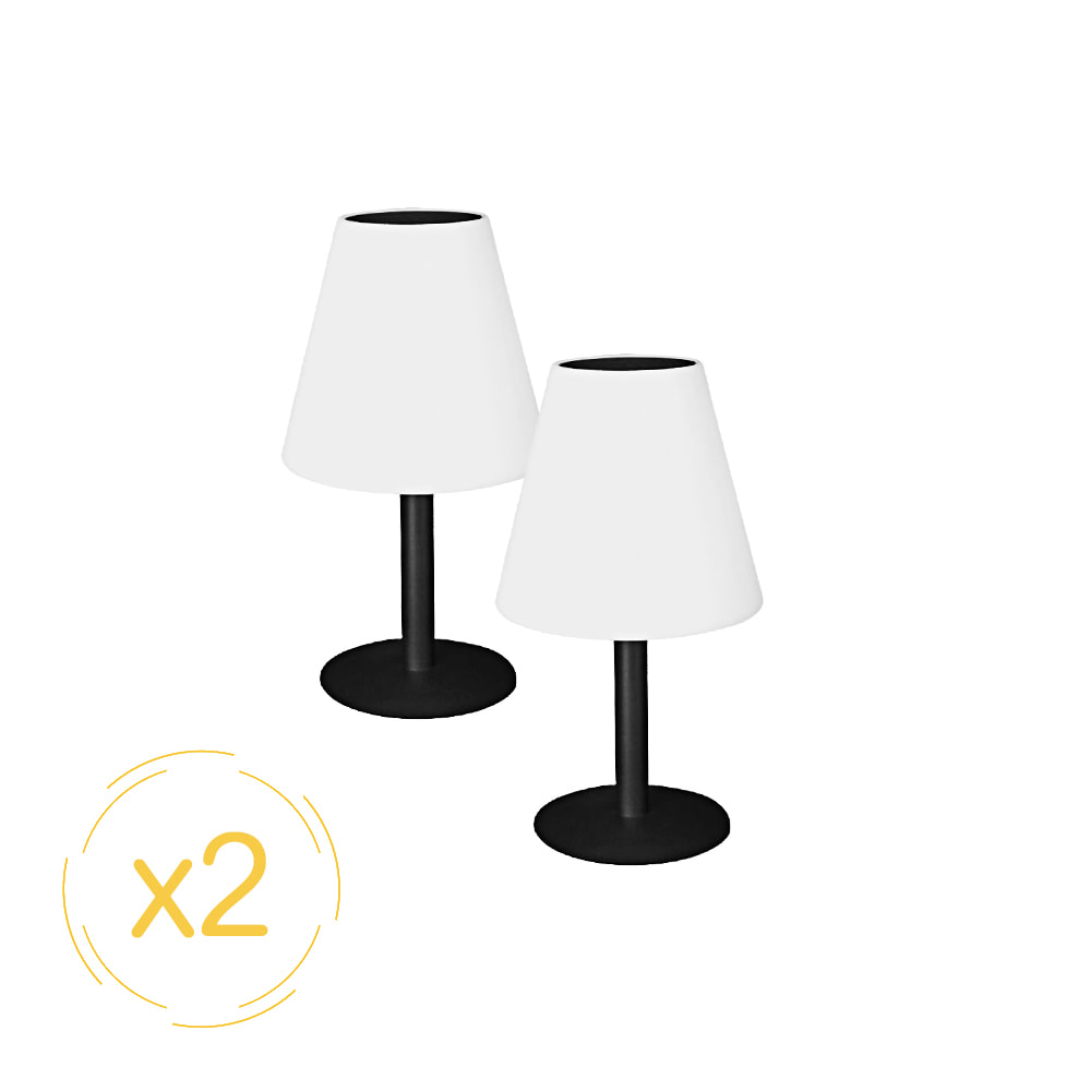 EZIlight® Solar lamp x2