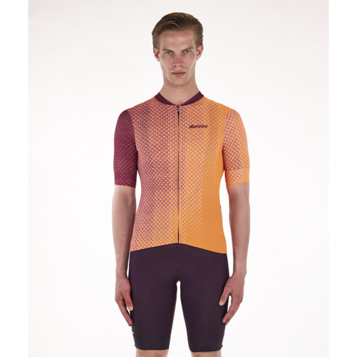 Paws - Maglia - Arancione - Uomo
