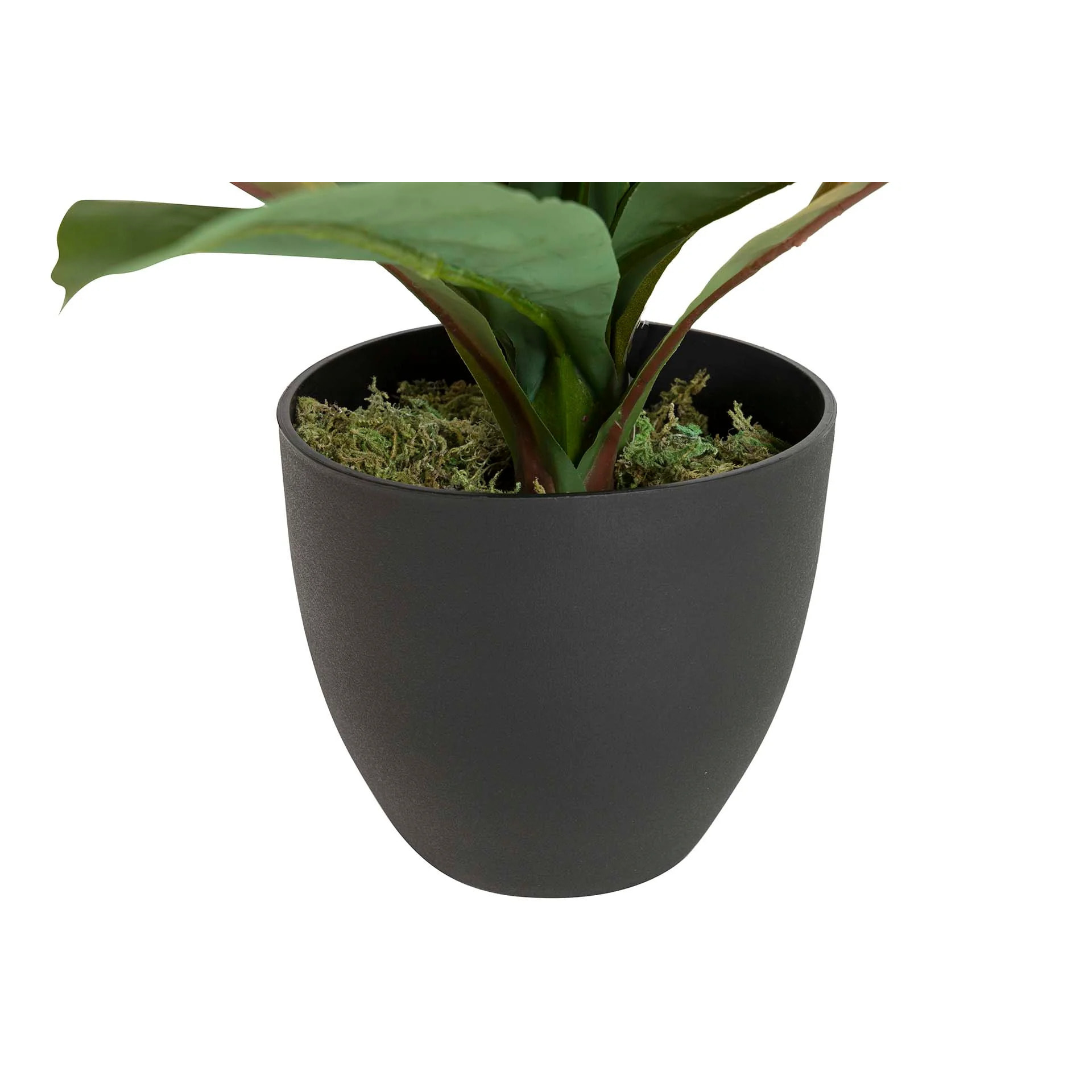 Planta Artificial Dracaena Fragrans Con Maceta 130x40x21 Cm