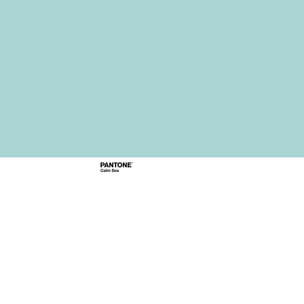 Pantone - Colcha Bouti Estampada - 100% Algodón - 70 gr/m² - Calm Sea