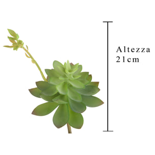 Echeveria Cactus. Altezza 21 Cm - Pezzi 6 - 15X21X10cm - Colore: Verde - Bianchi Dino - Piante Artificiali