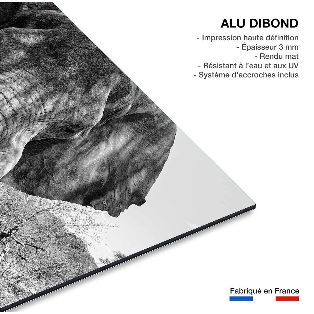 Tableau éléphant d'afrique Tableau alu Dibond