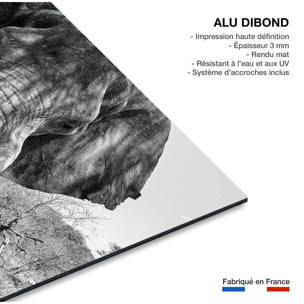 Tableau éléphant d'afrique Tableau alu Dibond