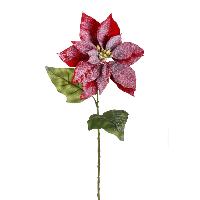 Stella - Pezzi 24 - 21xH72x21cm - Bianchi Dino SpA