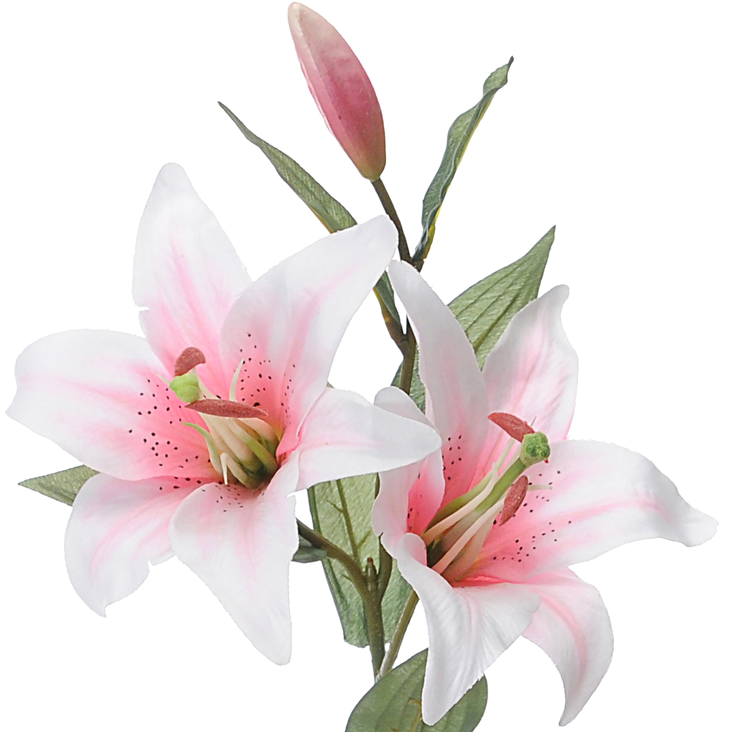 Lilium Composto Da 3 Fiori. Altezza 65 Cm - Pezzi 6 - 17X65X15cm - Colore: Rosa - Bianchi Dino - Fiori Artificiali