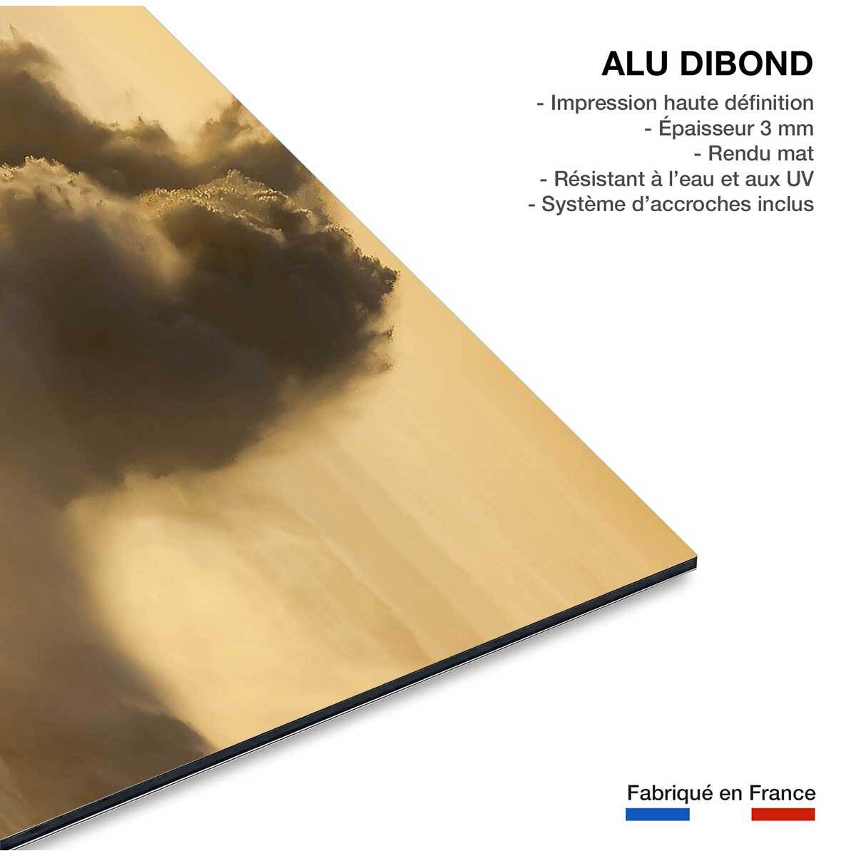 Tableau tempete en mer enbata sur socoa  Tableau alu Dibond