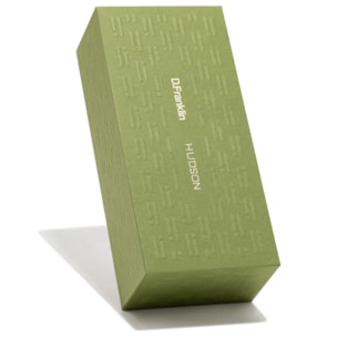 Gafas De Sol D. Franklin Hudson