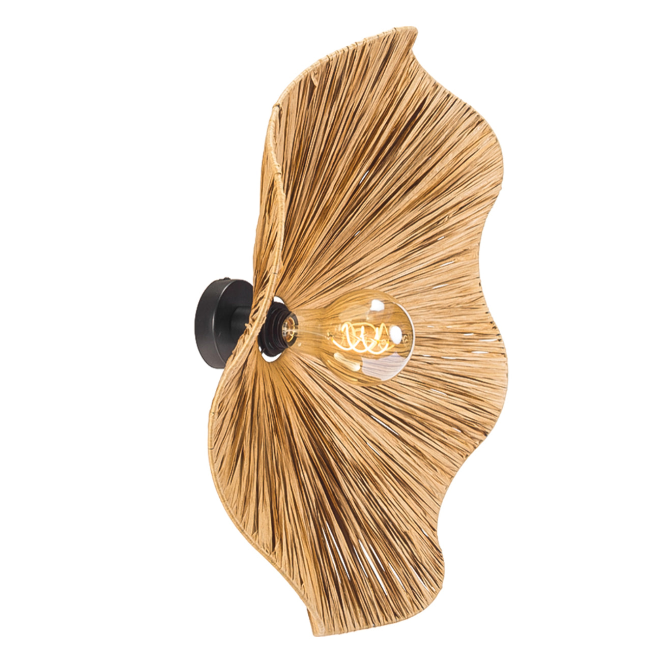 FORLIGHT Aplique LED Rainfo E27 15W Negro, Iluminación interior Elegante y Resistente