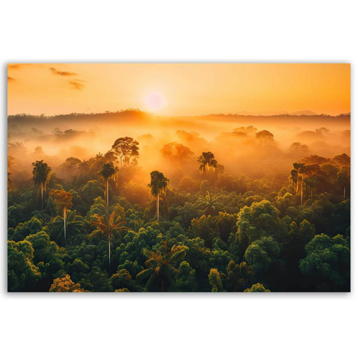 Tableau jungle au lever du soleil Toile imprimée