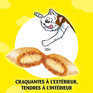 CATISFACTIONS Friandises au canard pour chat et chaton (6x60g)