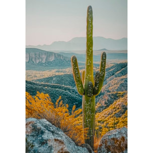 STAMPA SU TELA LACCATA C/CORNICE CACTUS -B- CM 60X4X90