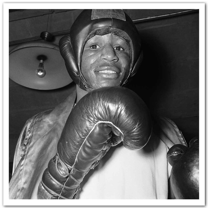 Affiche boxe Tigers Jones Brooklyn en 1928 Affiche seule