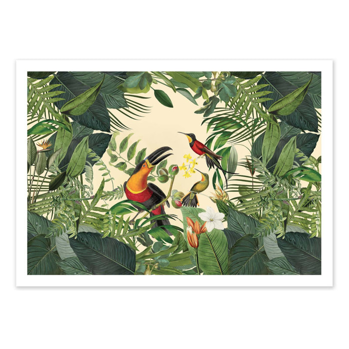Affiche - Tropical Jungle Toucan - Andrea Haase