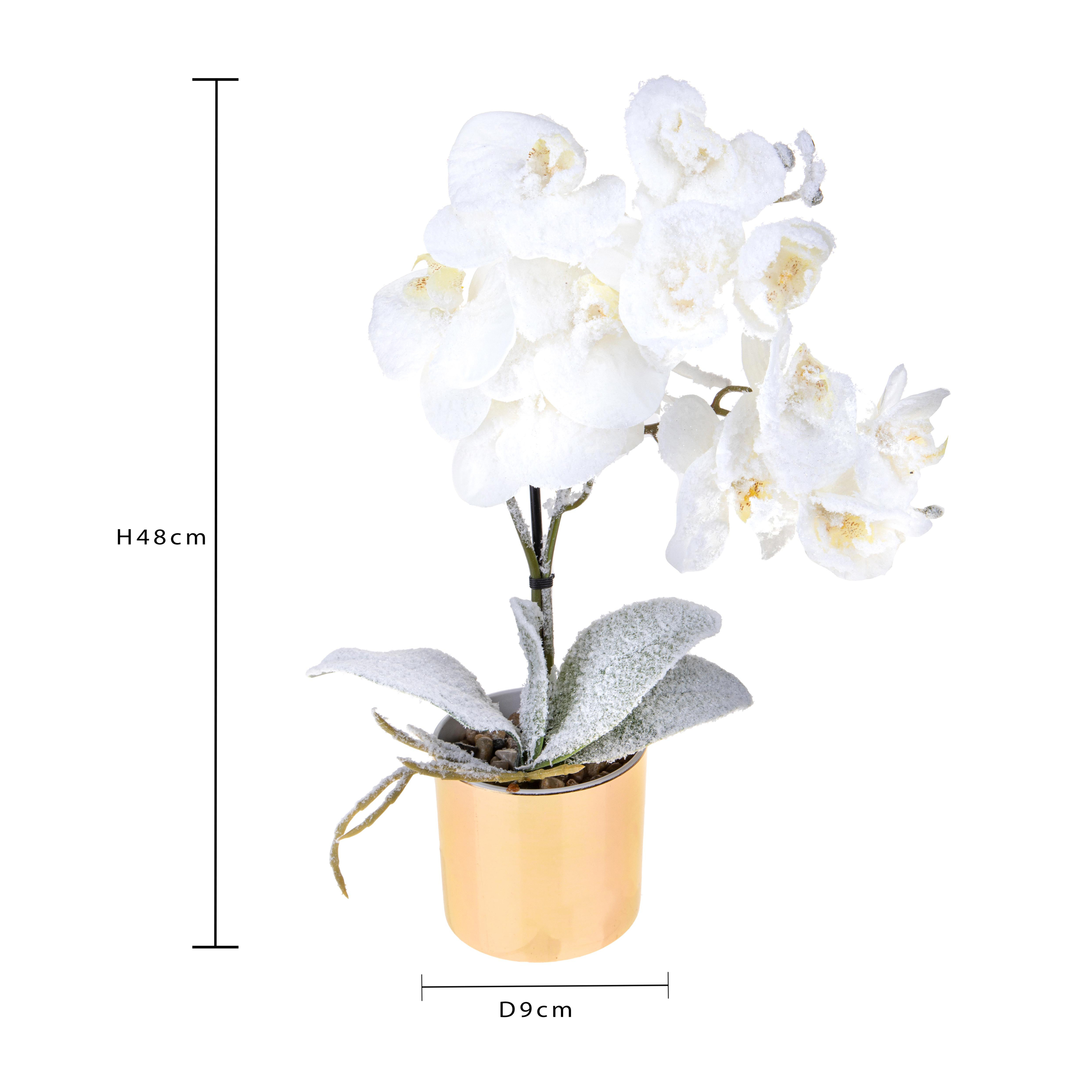 Vaso con Orchidea nevicata - Pezzi 3 - 9xH48x9cm - Bianchi Dino SpA