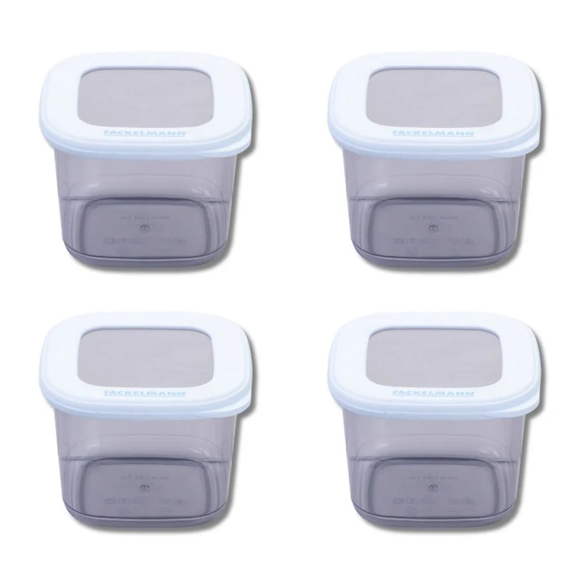 Lot de 4 Boîtes à Provisions Fackelmann Storage