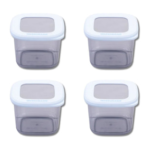 Lot de 4 Boîtes à Provisions Fackelmann Storage