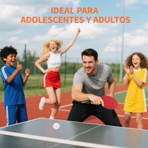 Palas de Ping Pong, Juego de Tenis de Mesa Portátil, con 4 Raquetas de Ping Pong, 8 Pelotas y Estuche de Transporte, para Principiantes, Expertos, Interior y Exterior Rojo