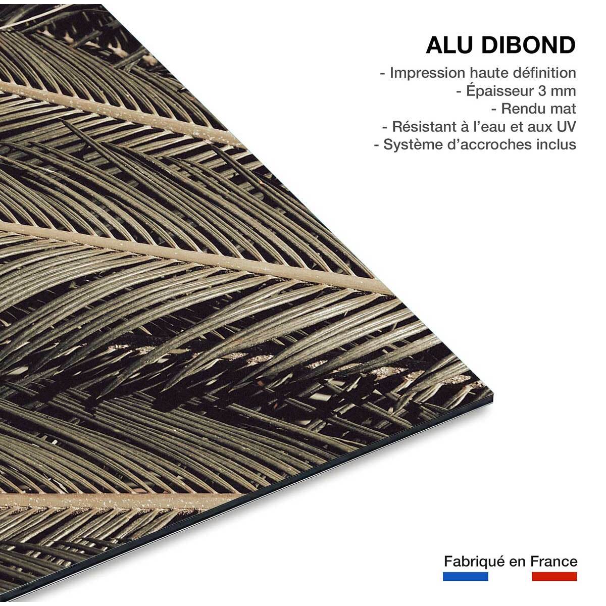 Tableau palm island Tableau alu Dibond