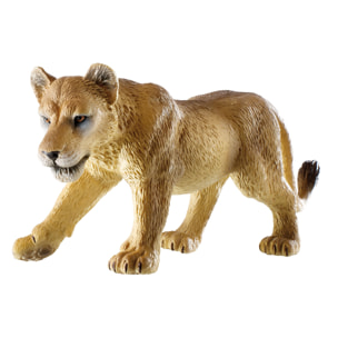 Safari/Leonessa