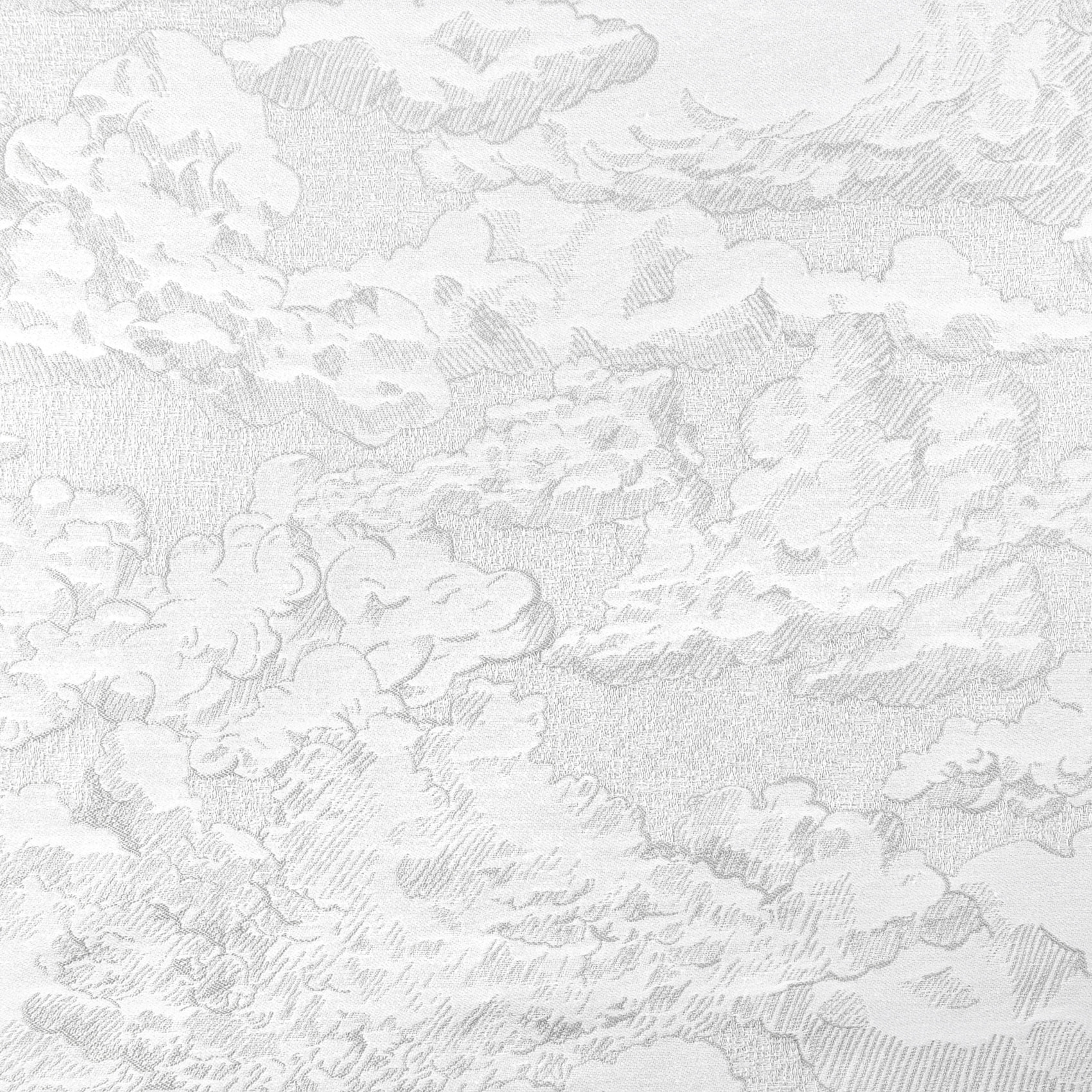 Rideau jacquard motif nuage à oeillets - Gris