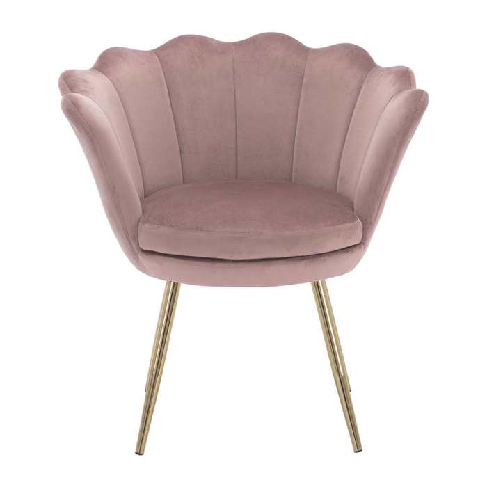 Silla Sidney Rosa