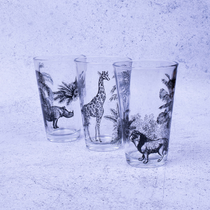 Lot de 6 verres, SAVANA