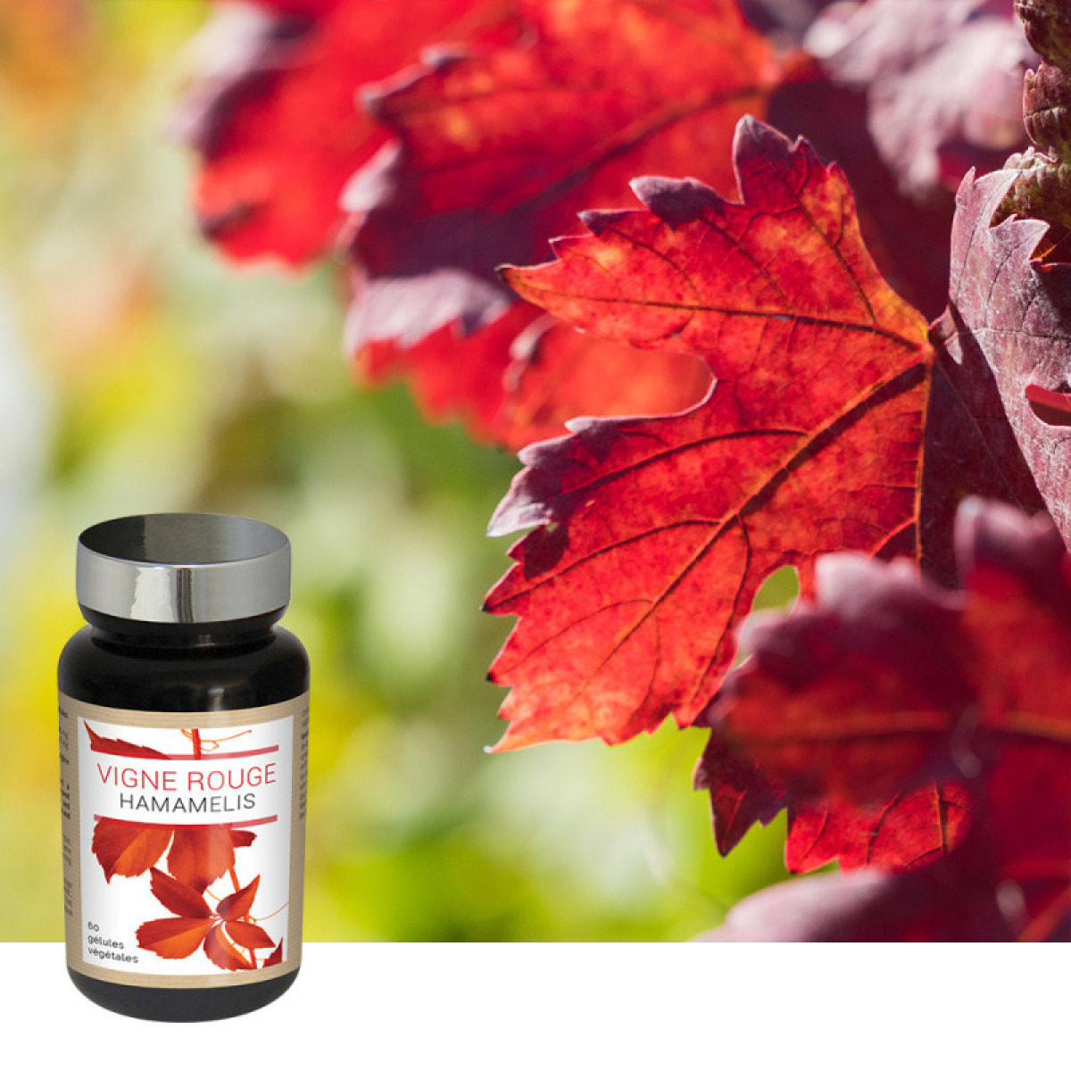 NUTRIEXPERT - Vigne Rouge Hamamélis - Contribue à une Circulation Sanguine Normale - Favorise la Sensation de Jambes Légères - Favorise le Confort Circulatoire - Vegan - 60 gélules