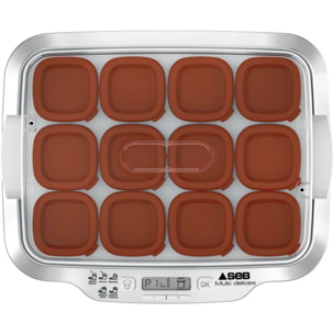 Yaourtière et fromagère SEB YG661A00 Multidélices Express 12 pots