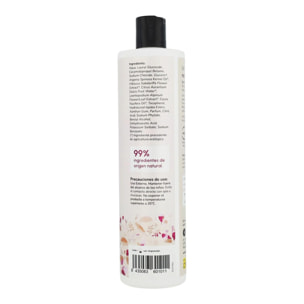Champú potenciador de brillo Flor de Hibisco y Coco Planeta Huerto 500 ml