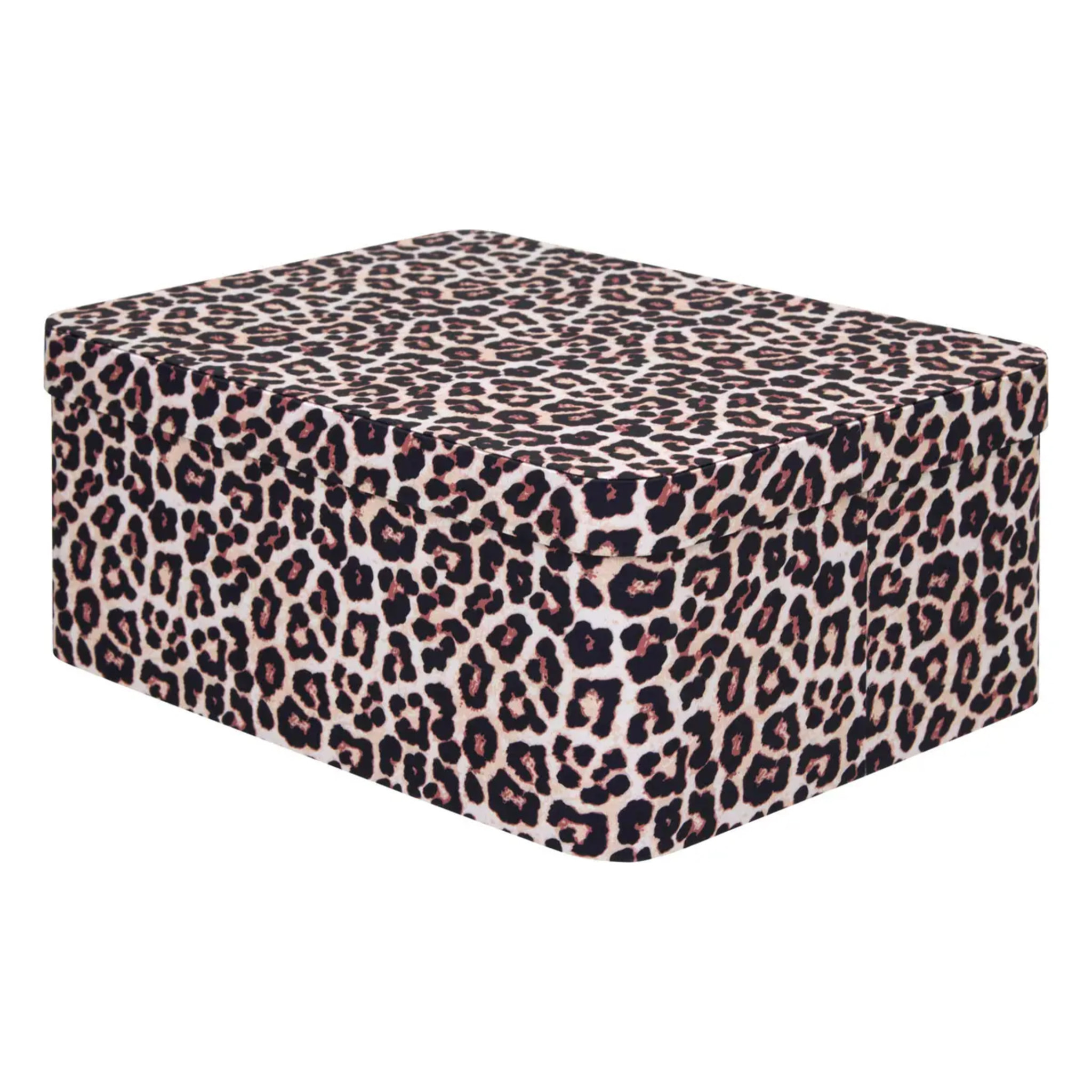 Lot de 4 boîtes Polybox