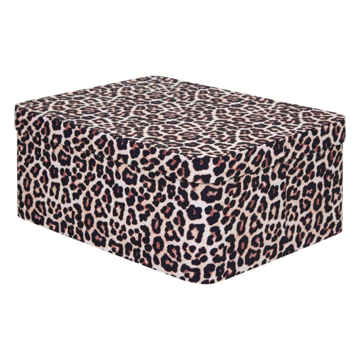 Lot de 4 boîtes Polybox