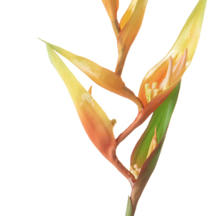 Heliconia 83 Cm - Pezzi 6 - 12X83X12cm - Colore: Arancio - Bianchi Dino - Fiori Artificiali