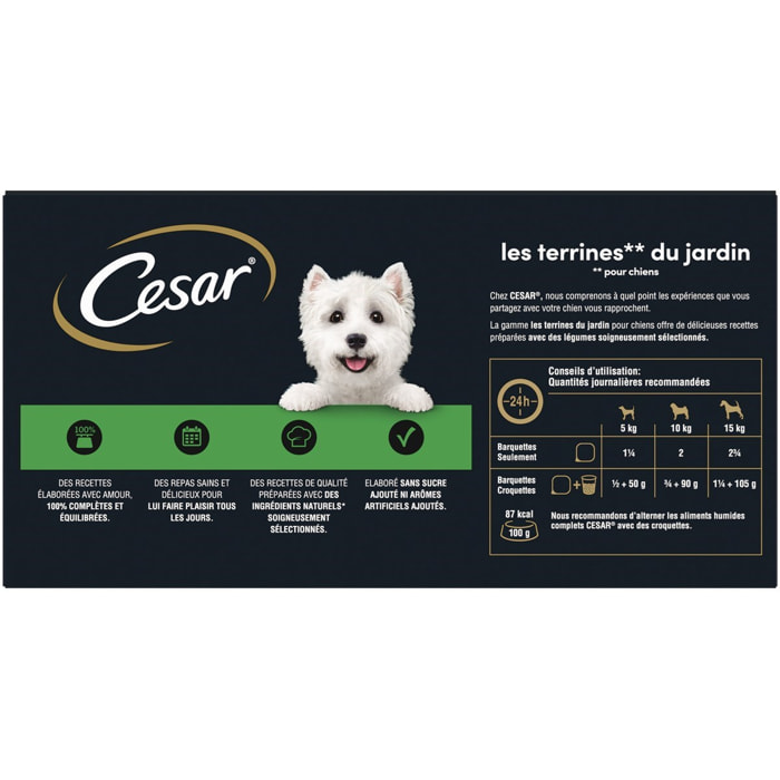 CESAR Barquettes en terrine 4 variétés pour chien 300g (4x4)