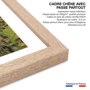 Affiche végétaux et flore aquatique Affiche + cadre en bois - Chêne