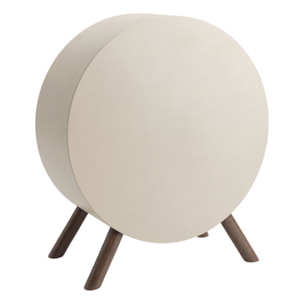 Venere - Camino a Bioetanolo da Pavimento 60x72x30 cm con Bruciatore 1 Litro e Piedi in Legno di Pino Tortora