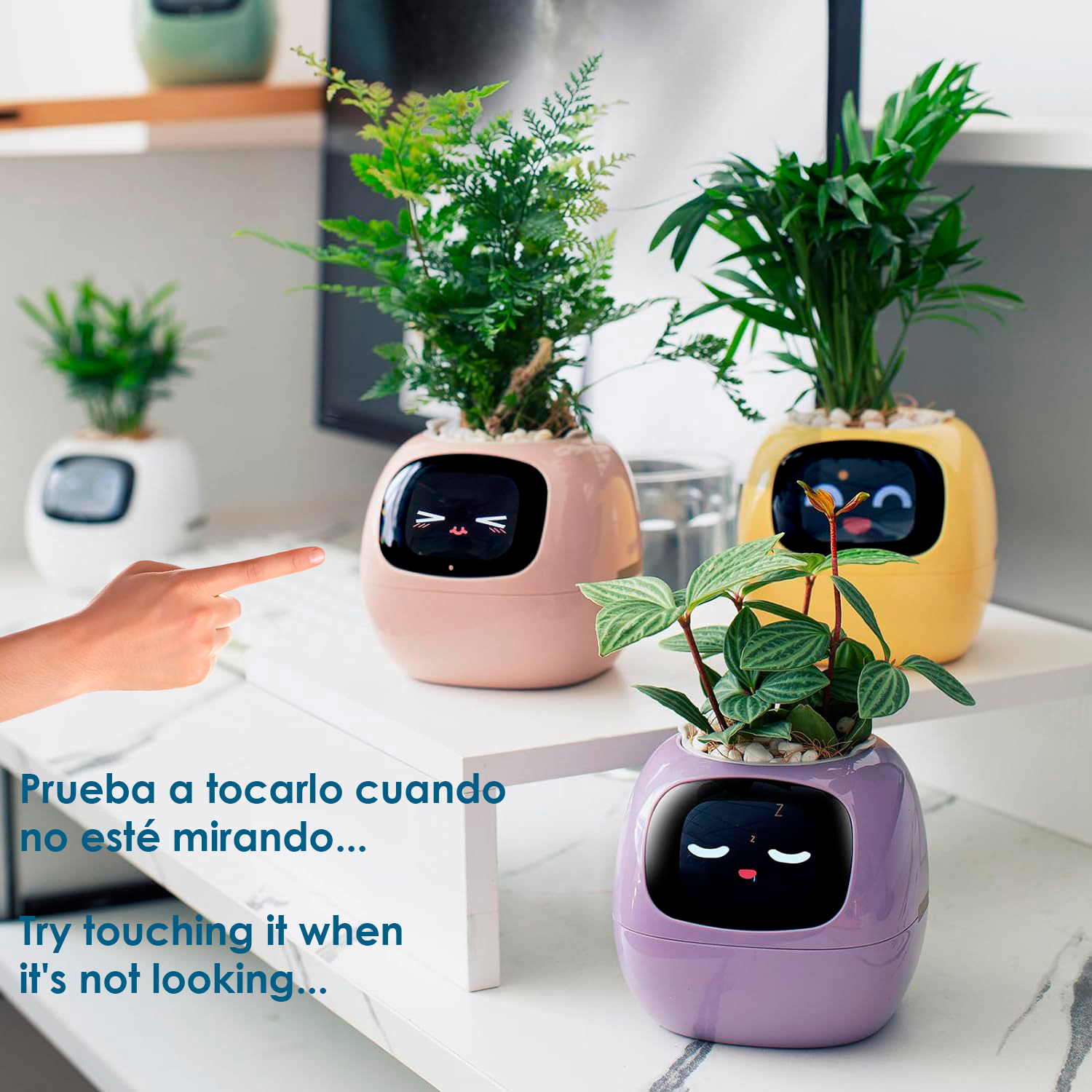 Maceta inteligente Ivy con sensores internos y externos, pantalla interactiva con expresiones faciales, batería de 2000mAh y monitoreo completo de la planta.