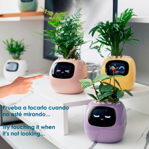Maceta inteligente Ivy con sensores internos y externos, pantalla interactiva con expresiones faciales, batería de 2000mAh y monitoreo completo de la planta.