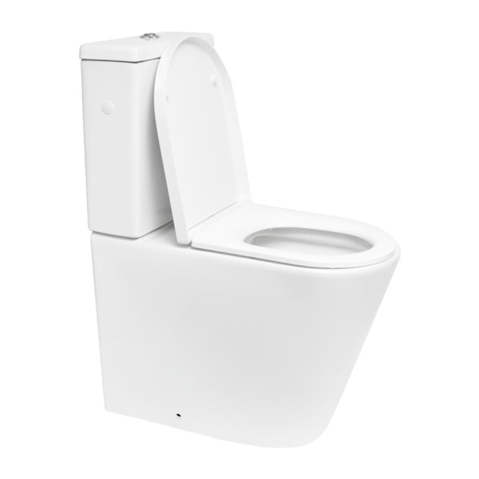 Brevis ensemble WC à poser PMR sans bride  & mécanisme de chasse GEBERIT + abattant SoftClose, blanc brillant (SATBRE32G)