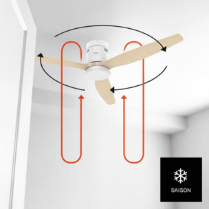 Ventilateur plafonnier TAURUS POLAR 3B