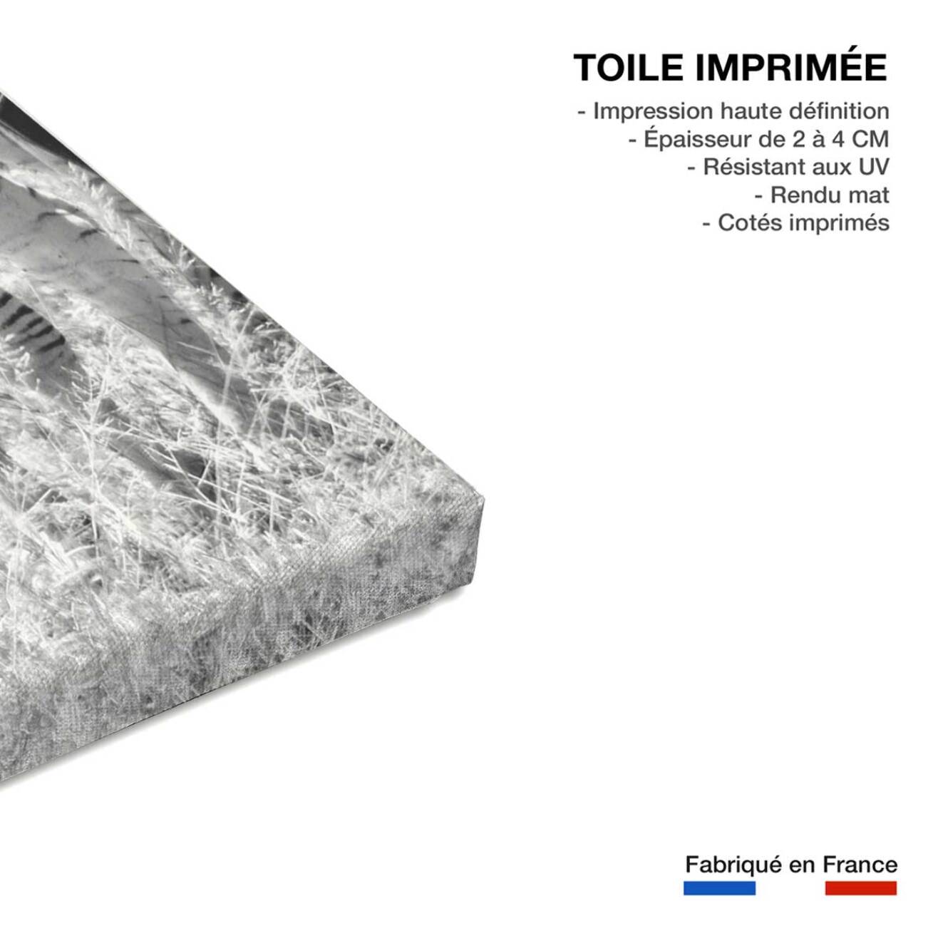 Tableau animaux zebre en duo  Toile imprimée