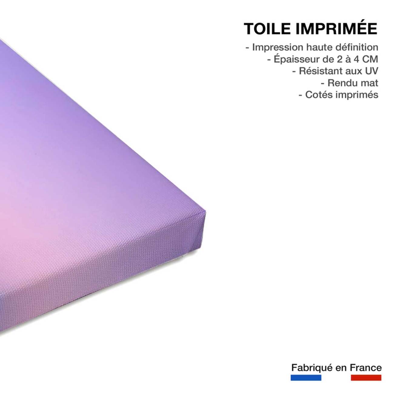 Tableau animaux flamant rose matinal Toile imprimée