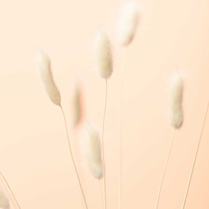 Affiche  scandi pampa Affiche + cadre en bois - Chêne