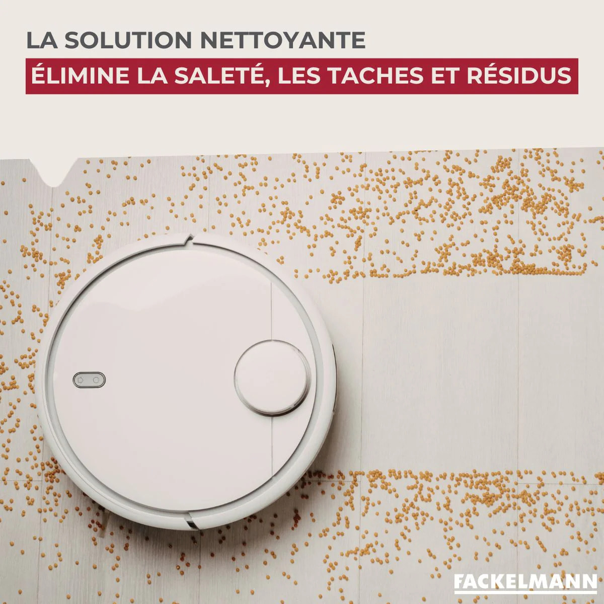 Solution nettoyante pour Aspirateurs Laveurs Robots et Balais Fackelmann