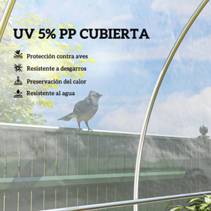 Plástico Invernadero Transparente, 6x10 m, Cubierta de Repuesto para Invernadero de Polipropileno, Resistente al Agua, para Huerto, Plantas, Agricultura, Jardín