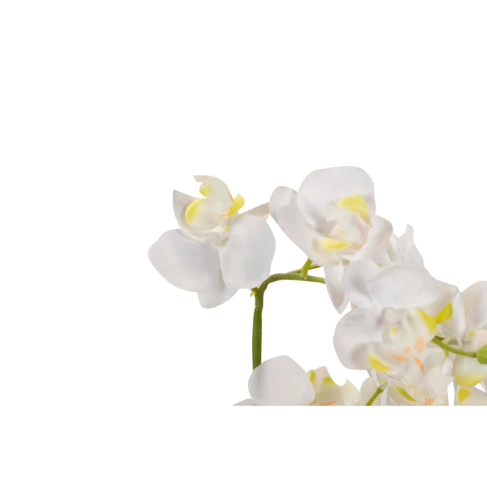 Orquidea Poliester Blanca Con Maceta 20x20x36 Cm