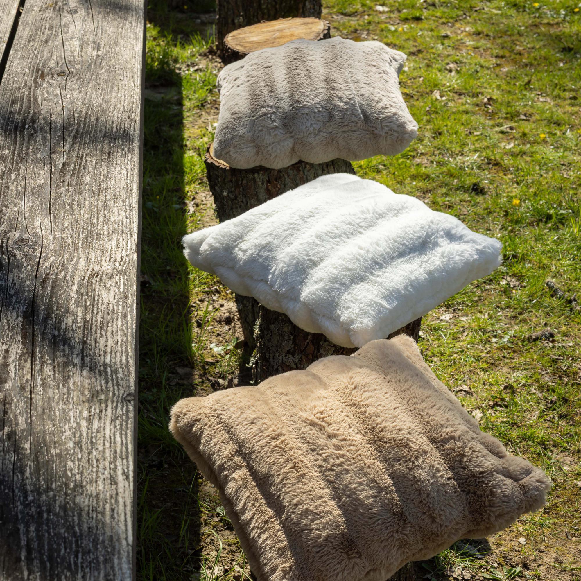 Coussin Astrid