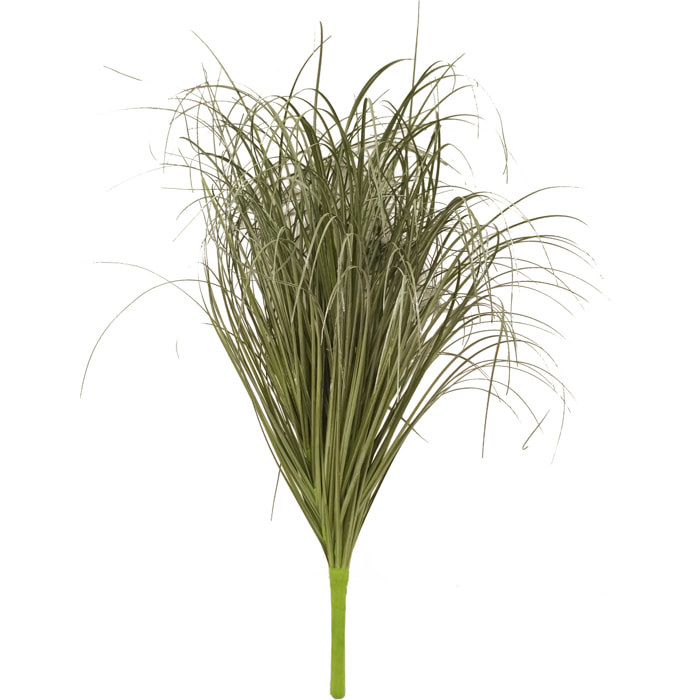 Pennisetum Pianta 68 Cm - Pezzi 3 - 18X68X15cm - Colore: Grigio - Bianchi Dino - Piante Verdi