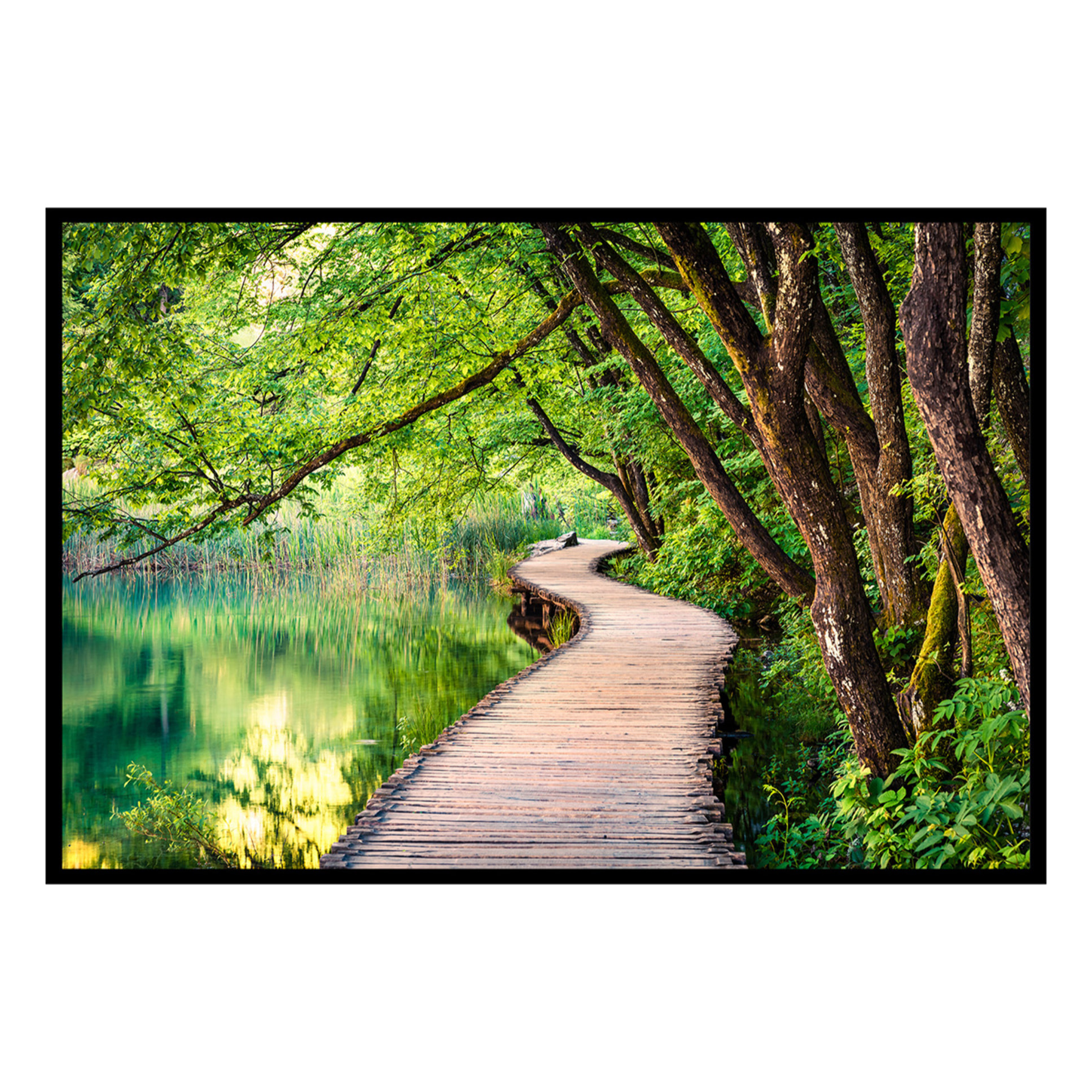 Affiche encadrée passerelle en forêt Affiche + cadre en métal - Noir