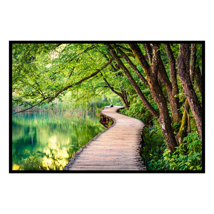 Affiche encadrée passerelle en forêt Affiche + cadre en métal - Noir